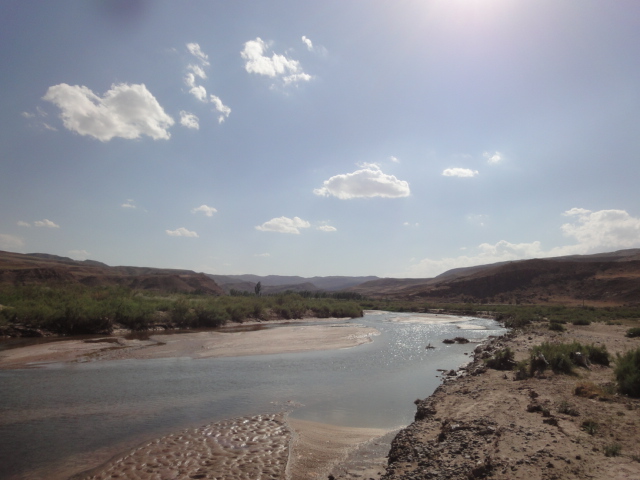 اجی چای